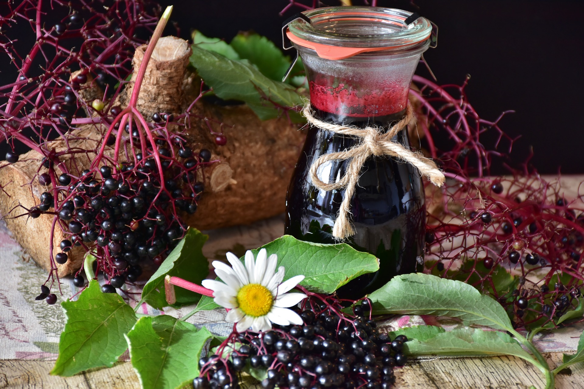 Read more about the article History and Benefits of Elderberry Syrup